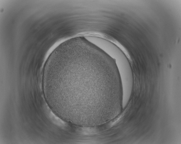 X0000083581102200702231649