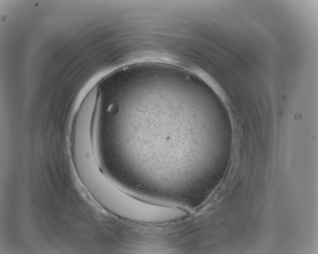 X0000083581104200702231649