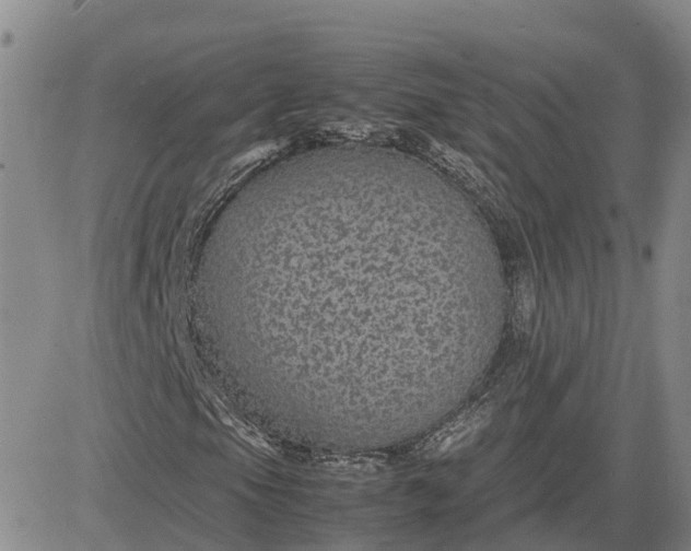 X0000083581105200702231648