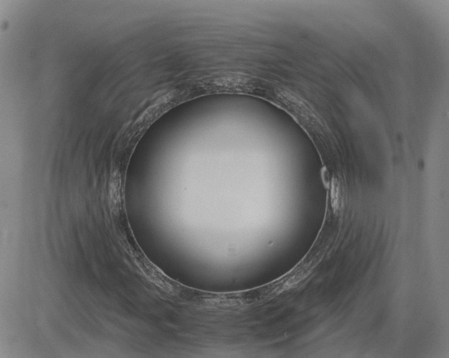 X0000083581107200702231648