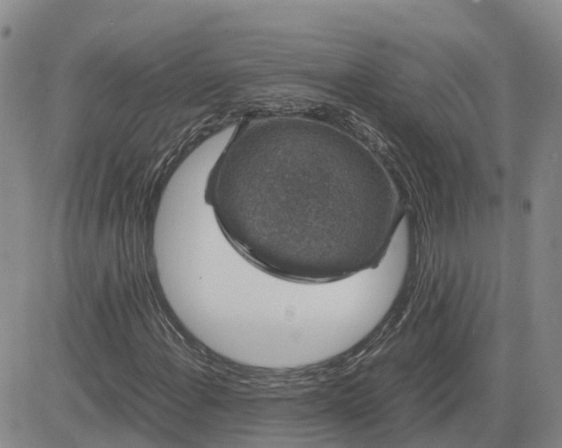 X0000083581108200702231648