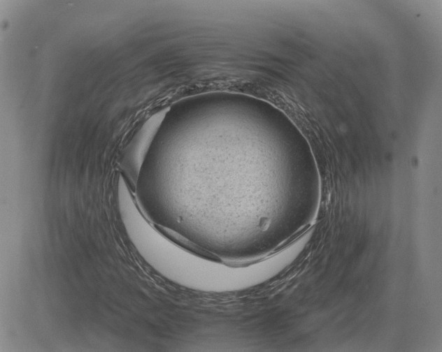 X0000083581109200702231648