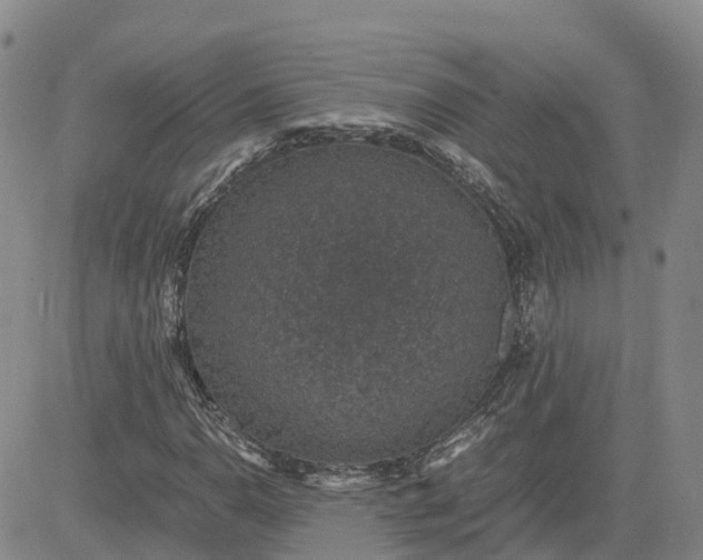 X0000083581110200702231648