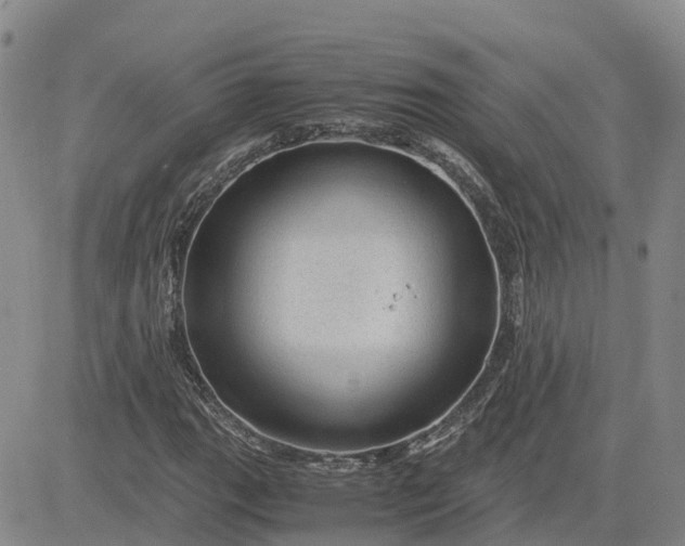 X0000083581111200702231648