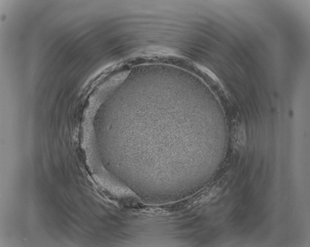 X0000083581112200702231648