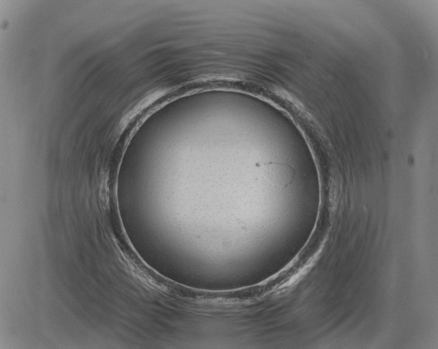 X0000083581113200702231648