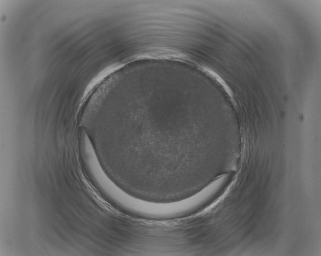 X0000083581114200702231648