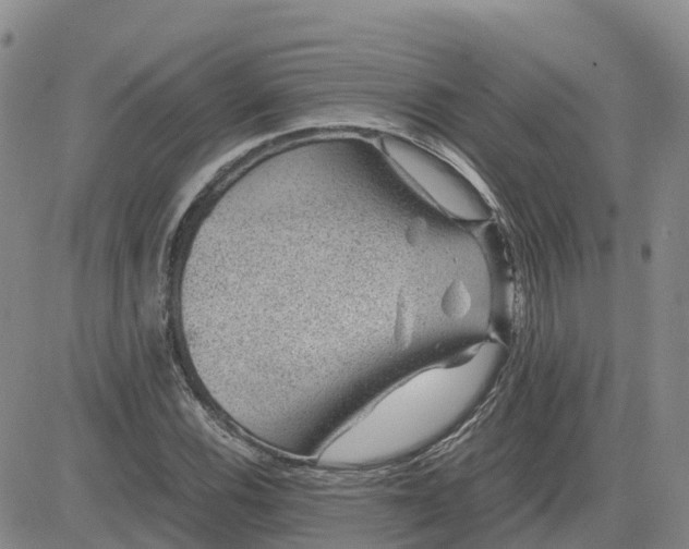 X0000083581116200702231648