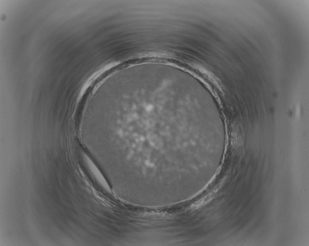 X0000083581117200702231648