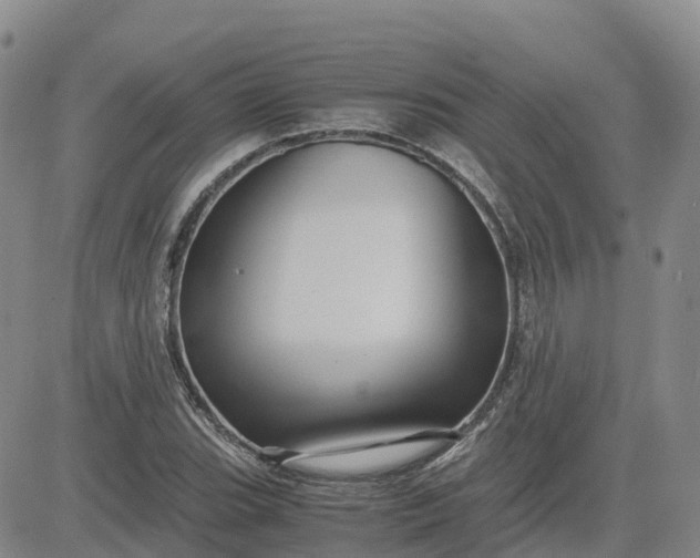 X0000083581119200702231648