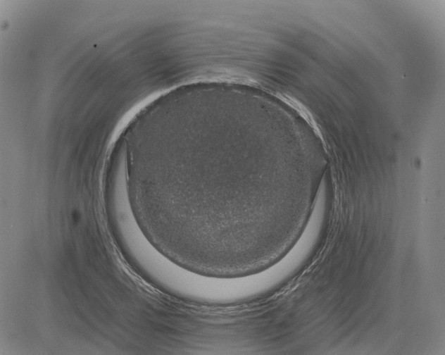 X0000083581120200702231648