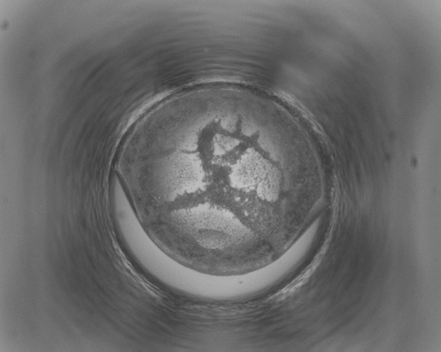 X0000083581121200702231648