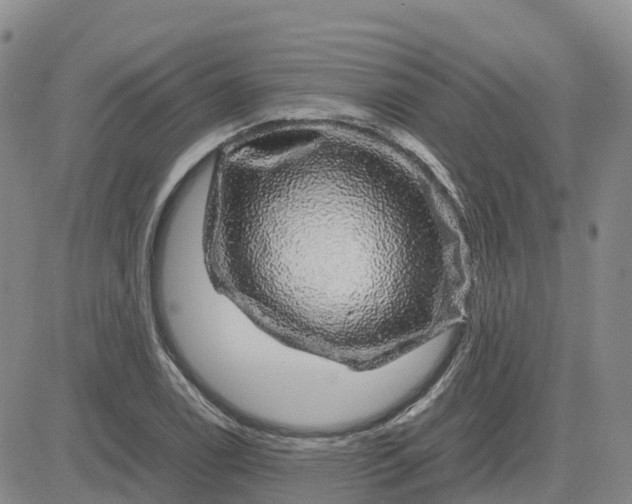 X0000083581122200702231648