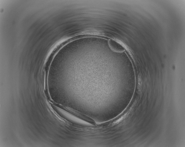 X0000083581123200702231648