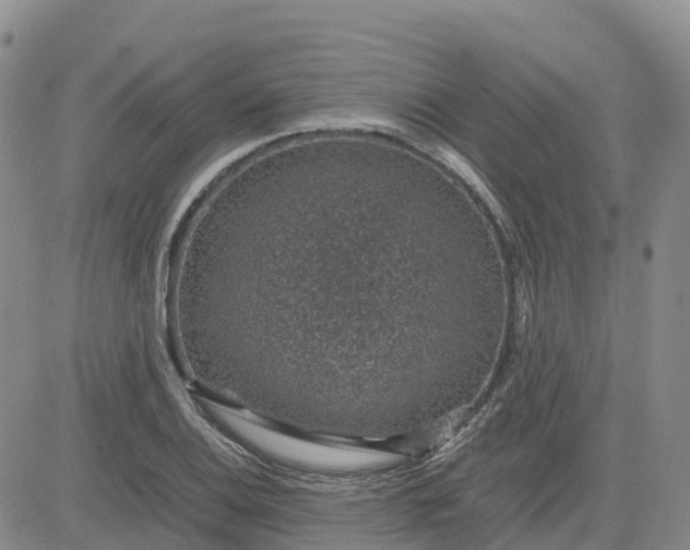 X0000083581124200702231648