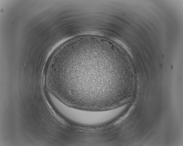 X0000083581125200702231648