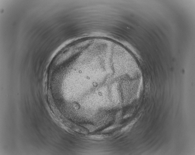 X0000083581126200702231648