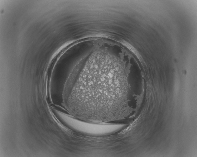 X0000083581127200702231648