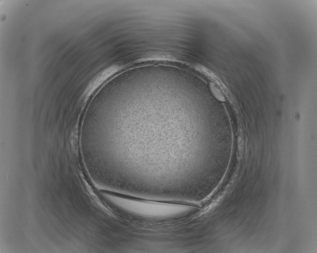 X0000083581129200702231648