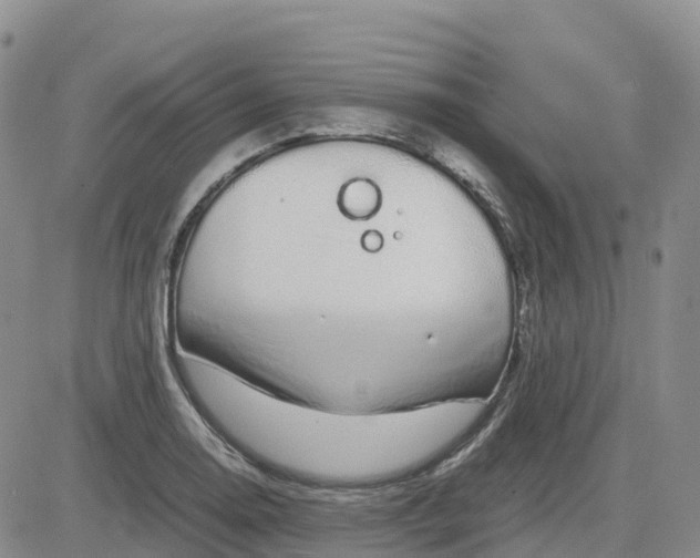 X0000083581130200702231648