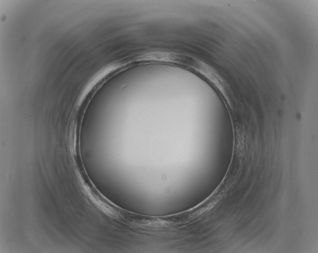 X0000083581131200702231648