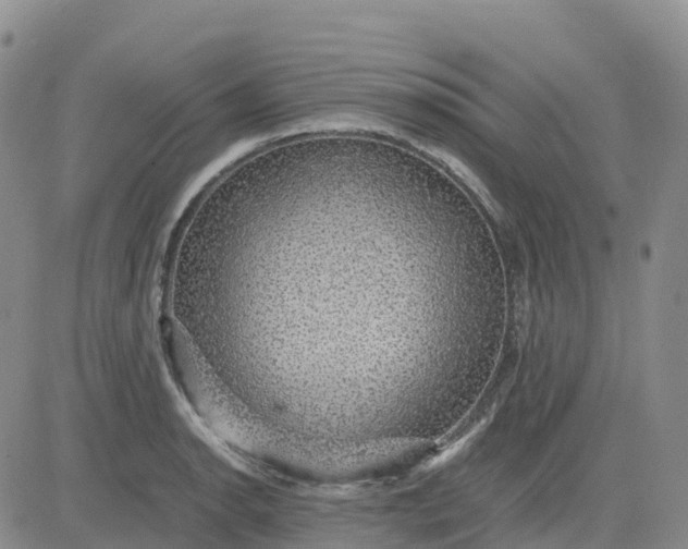 X0000083581134200702231648