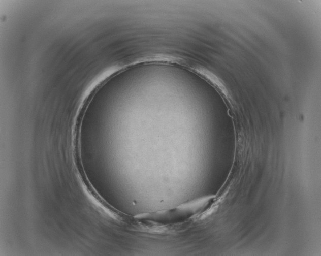 X0000083581135200702231648