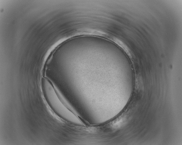 X0000083581136200702231648