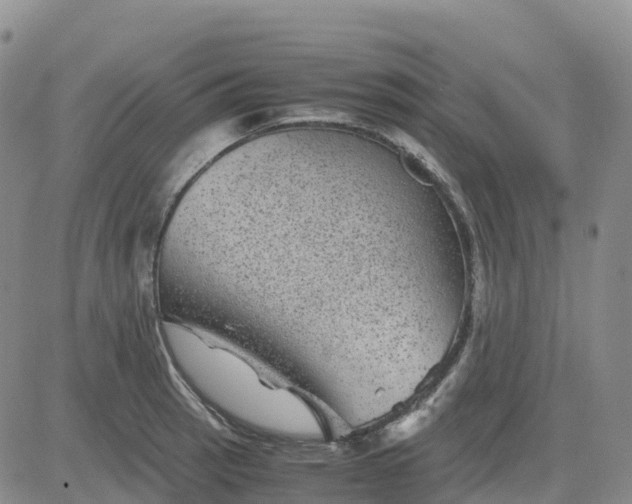 X0000083581137200702231648