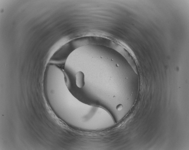 X0000083581138200702231648