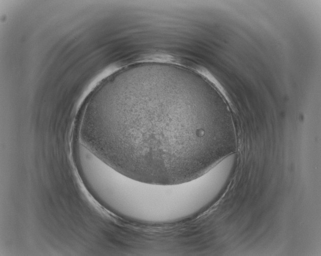 X0000083581139200702231648