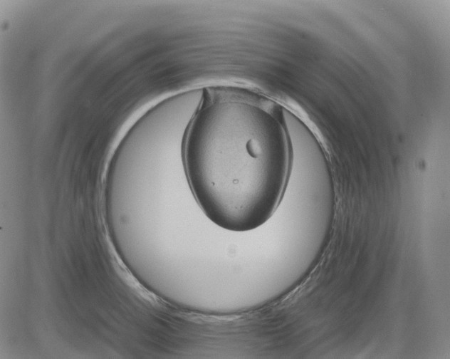 X0000083581140200702231648