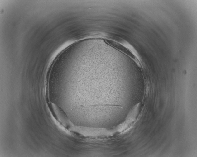 X0000083581143200702231648