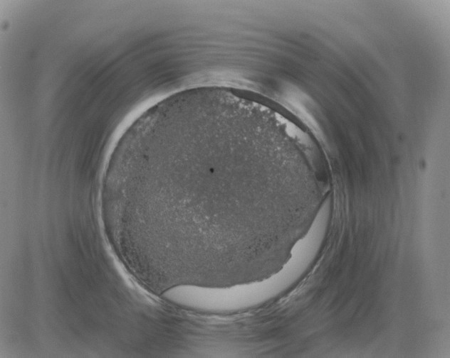 X0000083581144200702231648