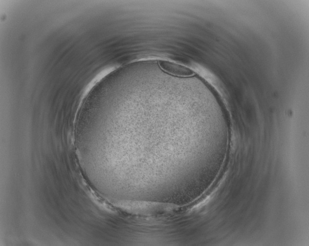 X0000083581145200702231649