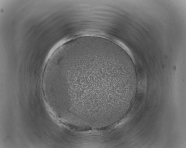 X0000083581146200702231649