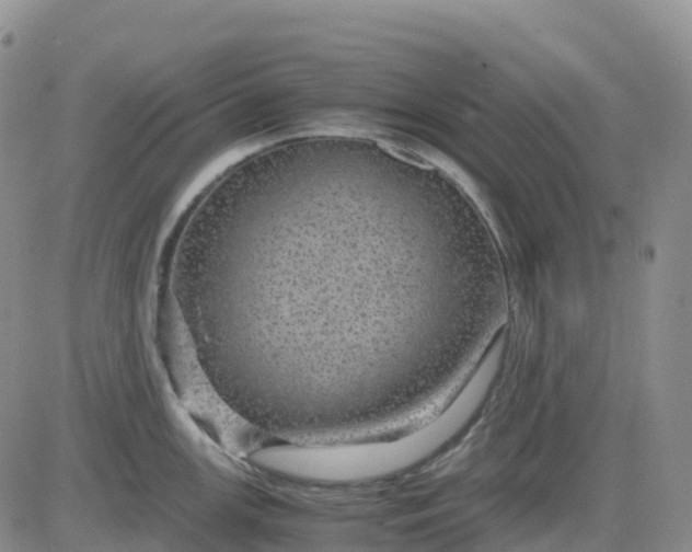 X0000083581147200702231649