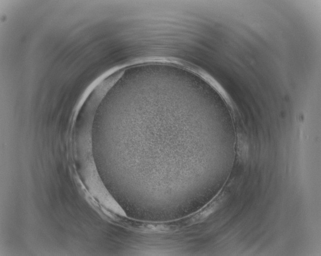 X0000083581148200702231649