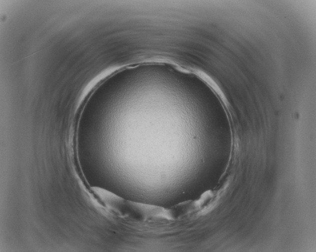 X0000083581149200702231649