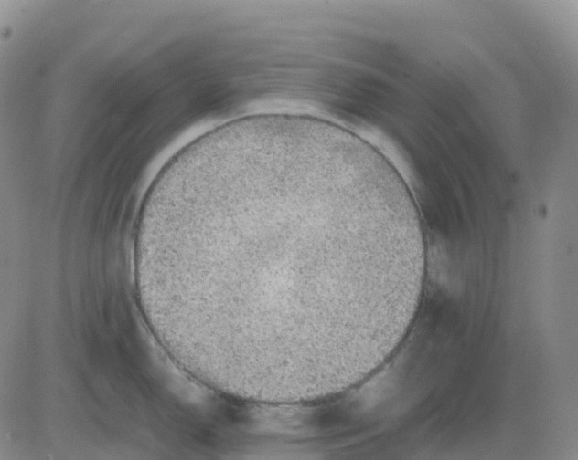 X0000083581150200702231649