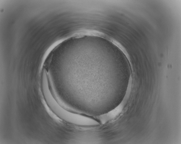 X0000083581152200702231649