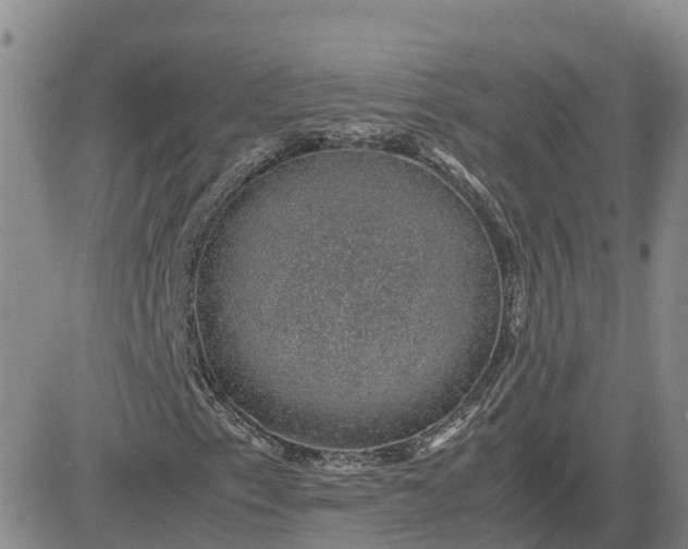 X0000083581153200702231648