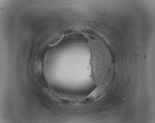 X0000083581155200702231648