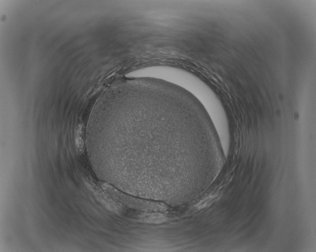 X0000083581156200702231648