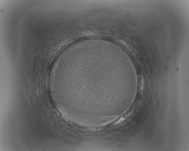 X0000083581157200702231648