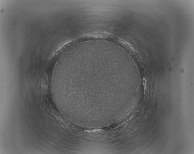 X0000083581158200702231648