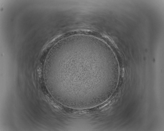 X0000083581159200702231648