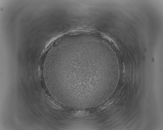 X0000083581160200702231648