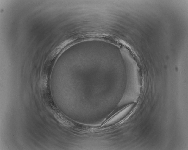 X0000083581161200702231648