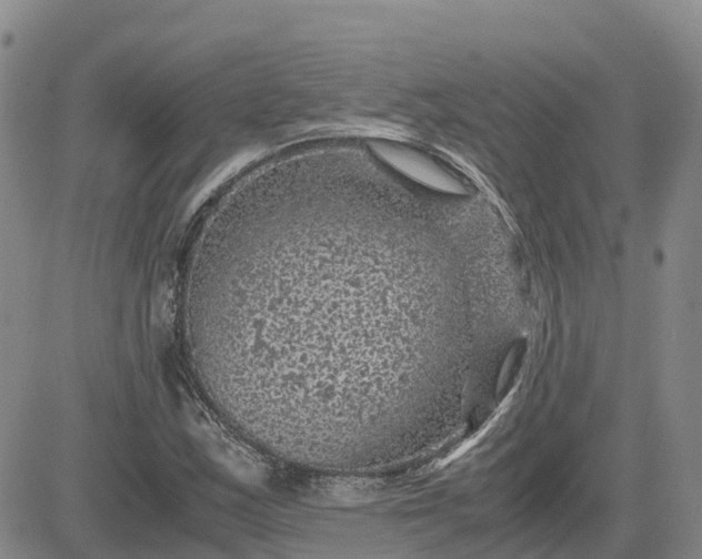 X0000083581163200702231648